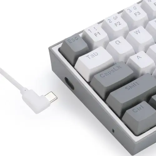 k631-castor-white-gray-03-500x500.webp