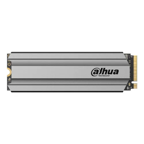 [01874] Dahua C900 Plus 256GB M.2 NVMe SSD