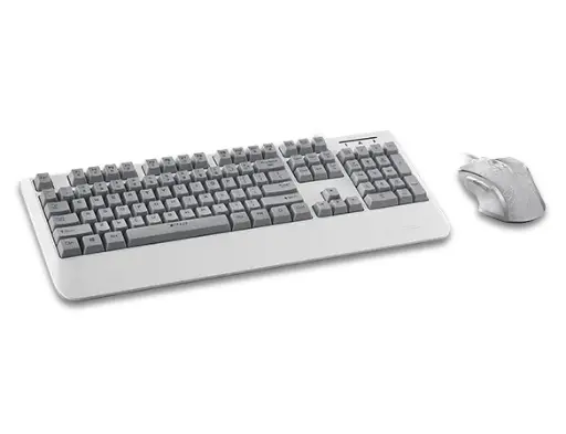 [0001010]  Rapoo V110 Backlit Gaming Keyboard & Optical Gaming Mouse Gaming Combo