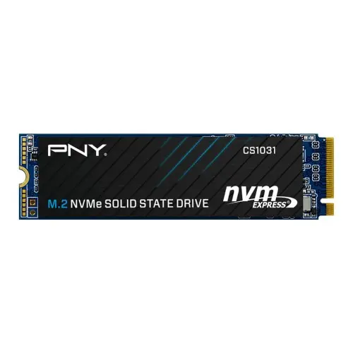 [0004137] PNY CS1031 256GB M.2 NVMe SSD