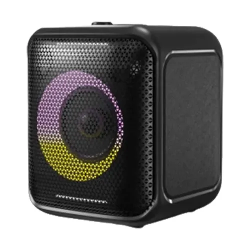[0005192] F&D PA100 Bluetooth Party Speaker