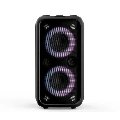 [0005193] F&D PA200 Bluetooth Party Speaker