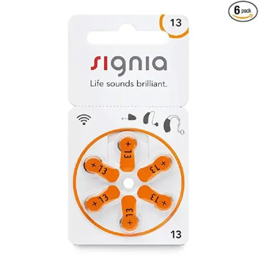 [0006574] P13 MINI BATTERY 