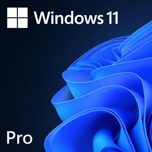 Microsoft Windows 11 professional 64 Bit ENG Intl 1PK DSP OEI DVD (PC OS) FQC-10528/FQC-10532
