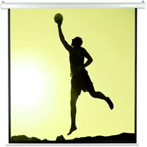 [07464] Xtreme 72″ x 72″ Motorized Projector Screen