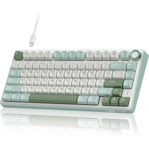 [0010883] Royal Kludge RK R75 RGB Hot-Swappable Mechanical Keyboard