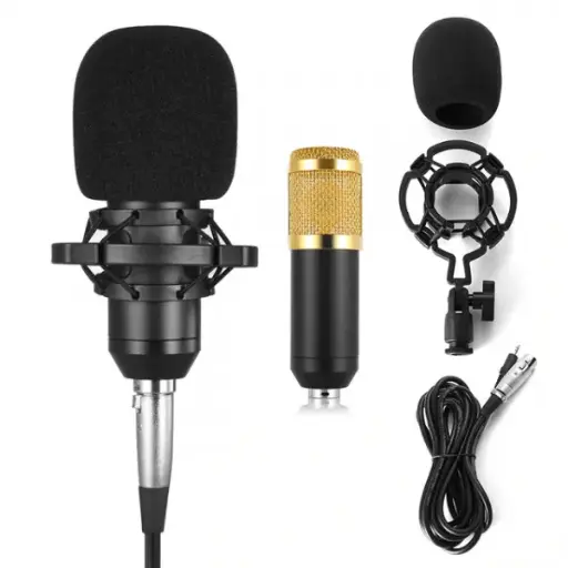 [00991] BM800 Microphone- High Performance Condenser Microphone for YouTube Studio