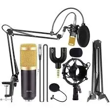 [0011583] Professional condenser microphone